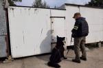 Funkcjonariusz Krajowej Administracji Skarbowej stoi z psem przed budką handlową.