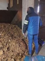 Funkcjonariusz KAS ogląda tytoń rozsypany na podłodze pomieszczenia nielegalnej fabryki tytoniu.